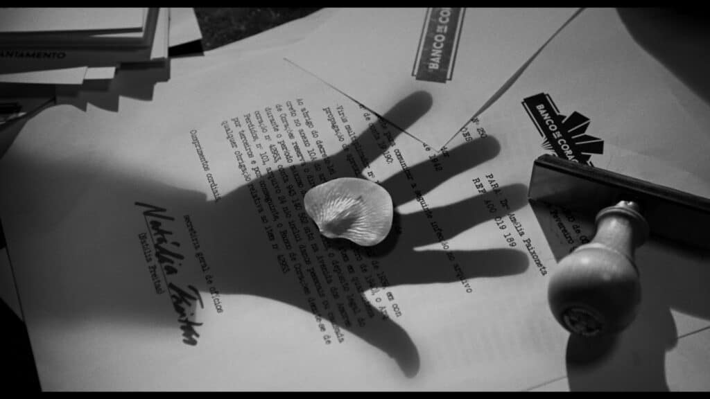 Entresombras 25 Po 51 Prshq 090218 (1 03 14 00)